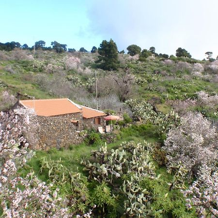 Casa Rural La Jarita El Pinar  Exterior photo
