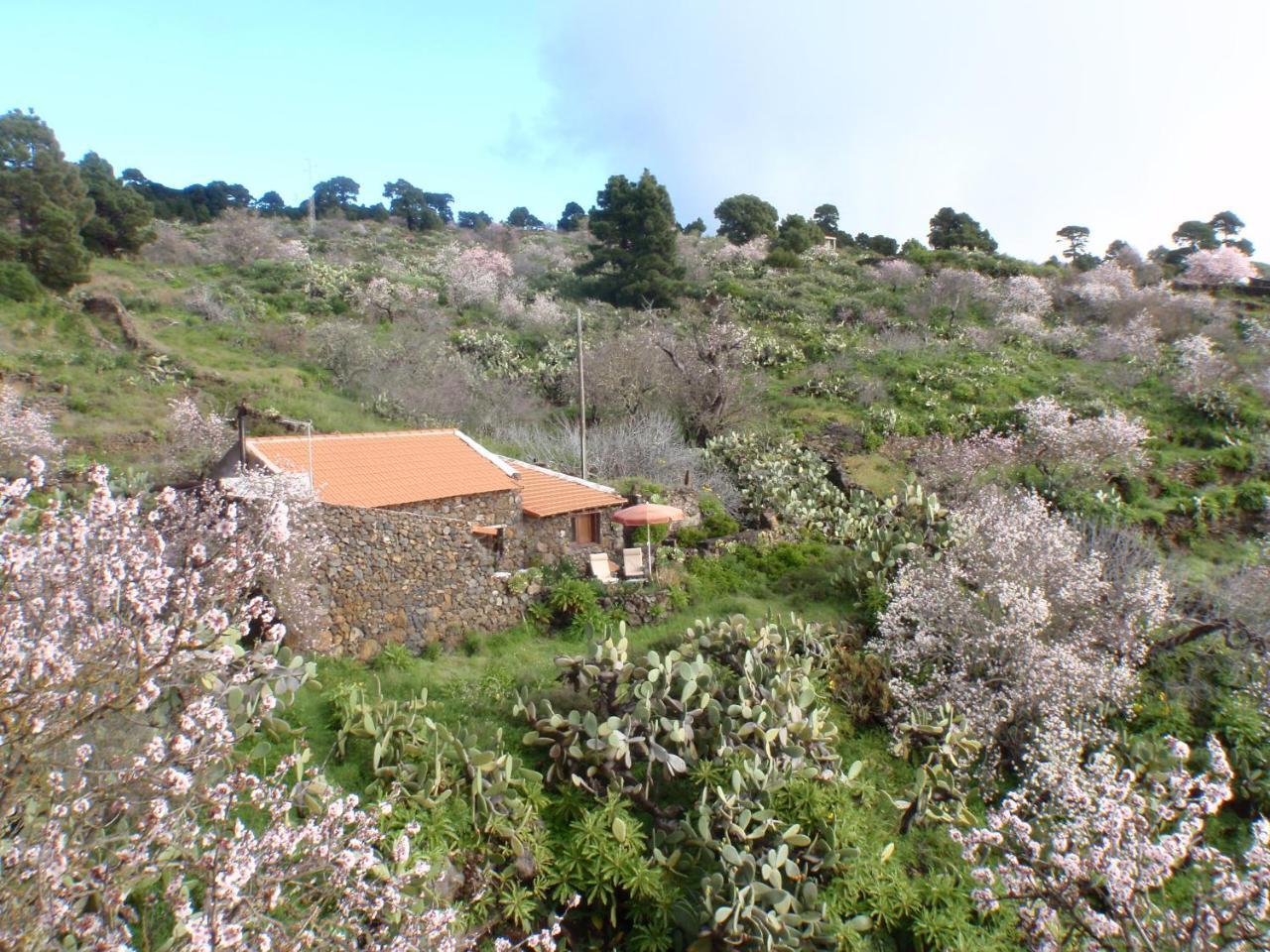 Casa Rural La Jarita El Pinar  Exterior photo